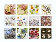 many different cards with flowers and birds on them are arranged in a collage together