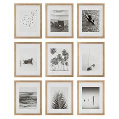 six black and white photographs hanging on a wall with palm trees in the middle, one is