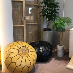 three bean bags sitting on the floor in front of an open cabinet and potted plant