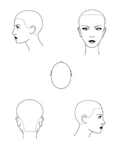 Salon Coiffeur Feuille de tête de coupe de cheveux - Etsy France Face Charts, Hair Chart, Hair Cut Guide, Hair Academy, Balayage Technique, Hair School, Face Chart, Hair Techniques, Female Head