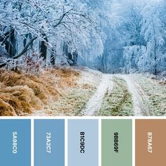 the color palette is blue, brown, and green with an image of snow covered trees