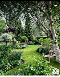 a bench sitting in the middle of a lush green garden