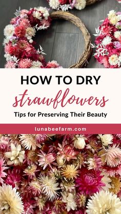 flowers are arranged on the floor with text overlay that reads how to dry strawflowers tips for preserve their beauty