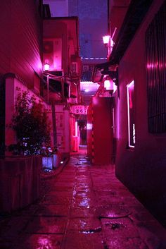 an alley way with red lights and potted plants