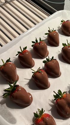 chocolate covered strawberries are arranged on a baking sheet