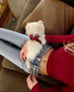 a small white dog wearing a red bow tie sitting on someone's lap with her legs crossed