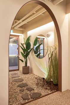 an arch shaped mirror in the middle of a room with plants and rocks on the floor