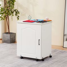 a white cabinet sitting on top of a rug in a living room next to a potted plant