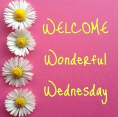 the words welcome wonderful wednesday are written on a pink background with daisies in front of them