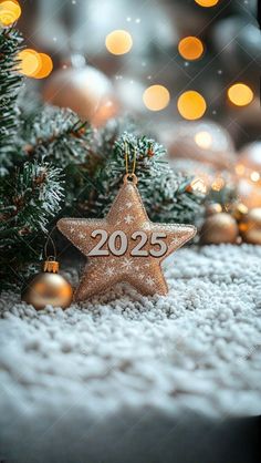 a star ornament with the number 205 on it sitting in front of a christmas tree