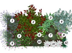 an image of different plants and numbers