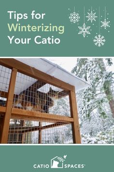 a cat in a cage with the words tips for winterizing your catio