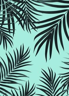 black and white palm leaves on a blue background with light green highlights in the foreground