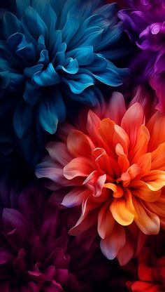 an image of colorful flowers in the dark