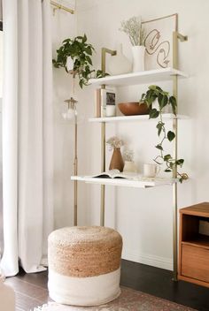 a white shelf with plants and other items on it