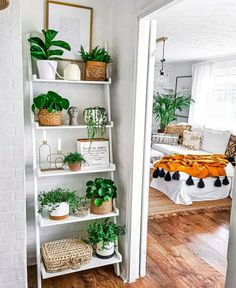 a living room filled with lots of plants and bookshelves next to a doorway