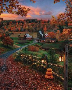 an autumn scene with pumpkins on the ground and lights in the grass near a road