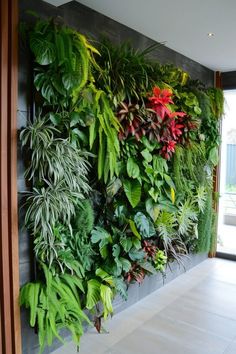 a living wall with many different types of plants