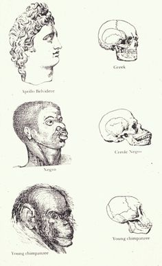 an old book with different types of human heads