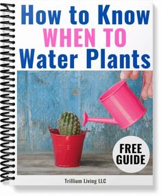 a book cover with a cactus in a pot and the title how to know when to water plants