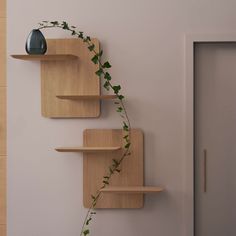 there is a plant growing on the wall next to some bookshelves and shelves