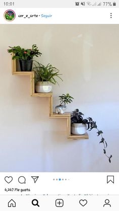 three wooden shelves with plants on them against a white wall, and the bottom shelf is filled with potted plants