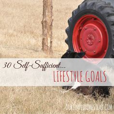 a black and white dog laying on top of a field next to a tractor tire