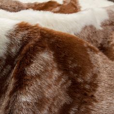 the fur is brown and white in color