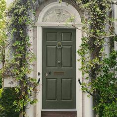 a black front door surrounded by greenery