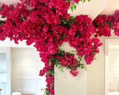 red flowers are growing up the side of a white column in a living room area