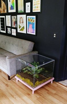 a living room with a couch, coffee table and pictures on the wall