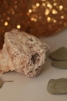 a piece of rock sitting on top of a white table next to some green leaves