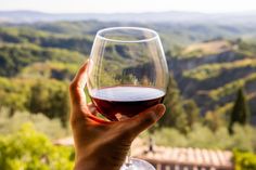 a person holding up a wine glass in front of a scenic view with hills and trees