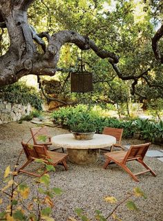 an outdoor table and chairs under a tree