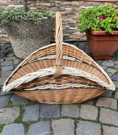 a wicker basket sitting on top of a stone floor next to potted plants