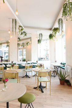 the interior of a restaurant with tables, chairs and potted plants hanging from the ceiling