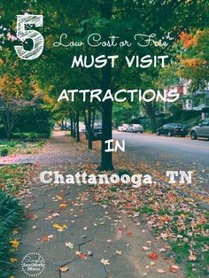 a street with leaves on the ground and trees in the background that says 5 must visit attractions in chatanooga, tn