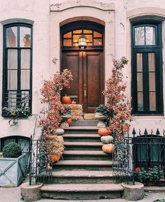 an instagram page with pumpkins and flowers on the steps