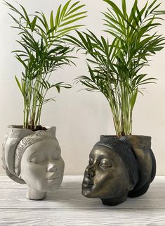 two ceramic head planters with plants in them