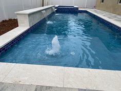 a man is in the water playing with a frisbee near a swimming pool