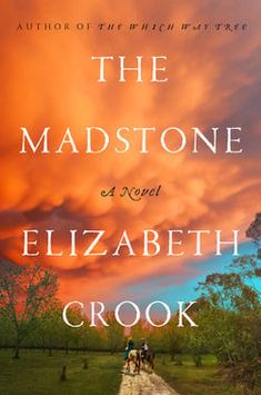 the cover of the book, the mad stone by elizabeth crooke with an image of two people walking down a dirt road