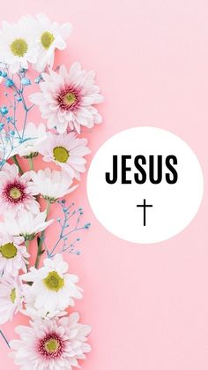 white daisies and pink flowers with the word jesus above it on a pink background