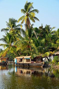 two boats are docked on the water near palm trees