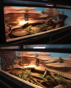 two pictures of the inside of an aquarium with rocks and plants in it, one is lit up