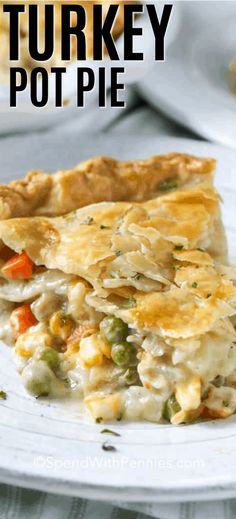 a white plate topped with two pieces of turkey pot pie