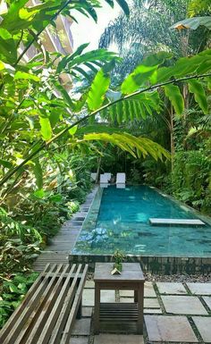 an outdoor swimming pool surrounded by greenery and wooden benches with a bench on the side