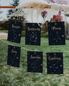 the zodiac signs are hung on a string in front of some grass and trees with feathers hanging from it