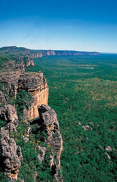 an aerial view of some rocks and trees in the middle of a green area with blue sky