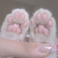 a hand holding a tiny pink and white animal paw