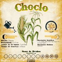 an old poster with the words choco written in spanish, and corn on it